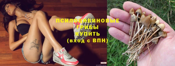 ГАЛЛЮЦИНОГЕННЫЕ ГРИБЫ Армянск
