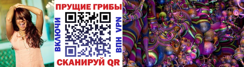 Галлюциногенные грибы Psilocybe  mega рабочий сайт  Усть-Лабинск  продажа наркотиков 