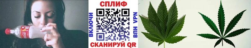 купить наркотики сайты  Усть-Лабинск  Конопля план 